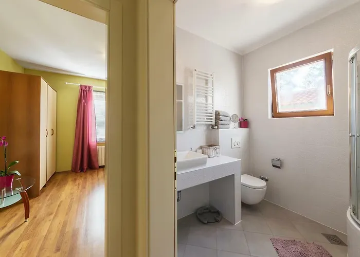 Σπίτι διακοπών Monique Vodnjan